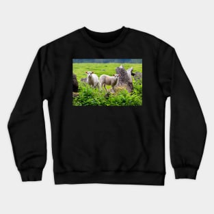 sheep Crewneck Sweatshirt